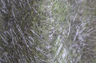 Drakes Broughton fibreglass roof work